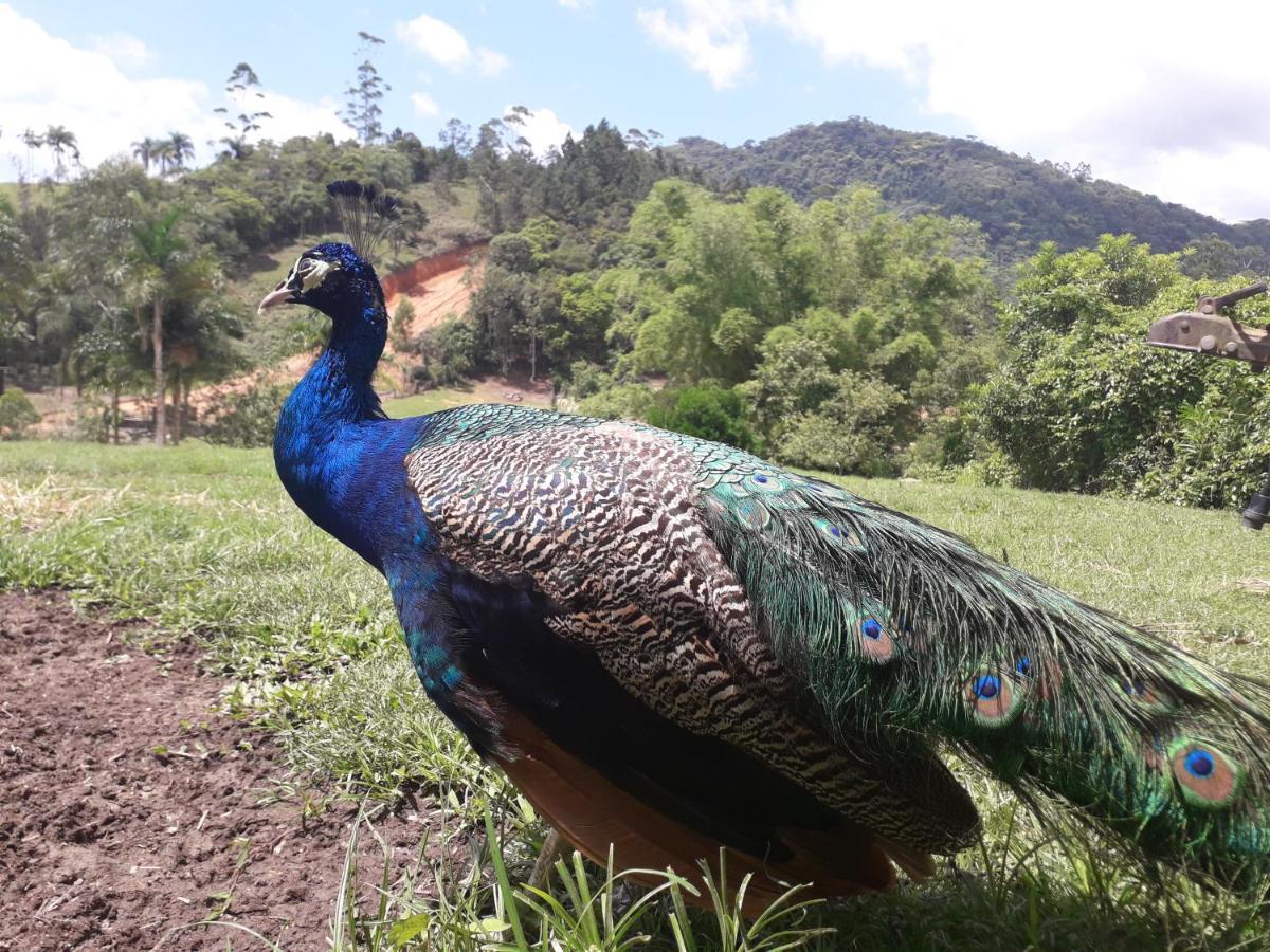 Hotel Rural Sitio Do Sol Guabiruba Экстерьер фото
